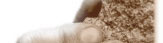 www.stralsund-ergotherapie.de